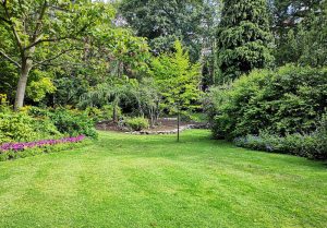 Optimiser l'expérience du jardin à Germs-sur-l'Oussouet