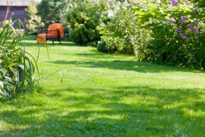 travaux jardin et paysage Germs-sur-l'Oussouet